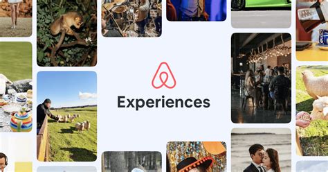 How to make Money with Airbnb Experiences - LaunchToast