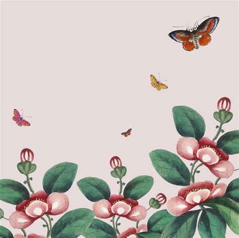 Chinese painting featuring flowers and butterflies wallpaper - Download ...