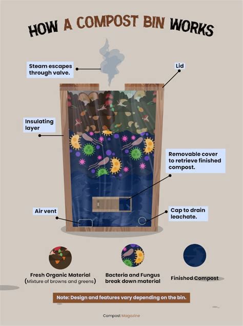 How Do Compost Bins Work? A Guide to Using Bins to Turn Waste Into Black Gold