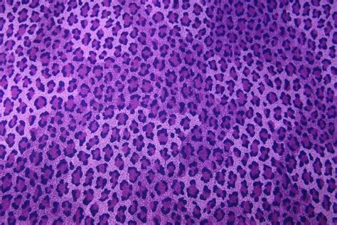 🔥 [46+] Purple Leopard Print Wallpapers | WallpaperSafari