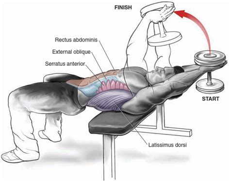 Top 5 Chest Exercises (for mass) - Bodydulding