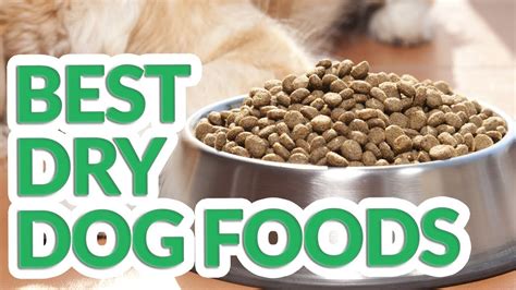 Best Dry Dog Food 2019 - 10 TOP Dry Dog Foods - YouTube