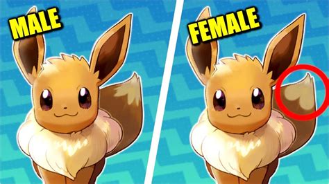 All Pokémon Gender Differences (Generation 1 to 7 + Let's Go) - YouTube