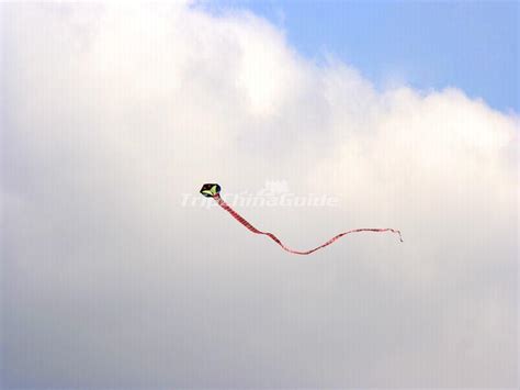 Chinese Kite - Snake - Chinese Kites Photos