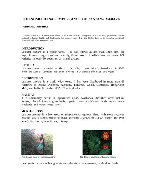 (PDF) Ethnomedicinal importance of Lantana camara