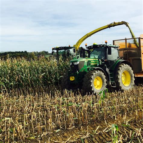 Maize silage cutting height - get more by leaving some behind! — The ...