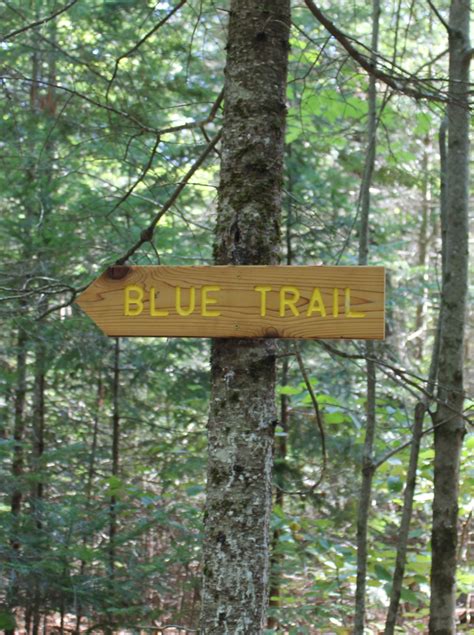 Hiking Trails – Maine Forest and Logging Museum