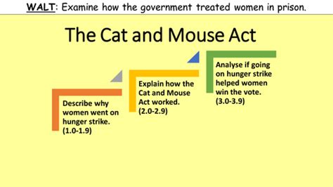 The Cat and Mouse Act | Teaching Resources