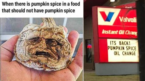 10 Pumpkin Spice Memes Far Better Than A Fall-Themed Latte | Know Your Meme