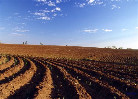 File:Terreno arado para plantação REFON 1.JPG - Wikimedia Commons