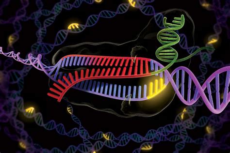 8 weird and wonderful applications of CRISPR technology - City AM