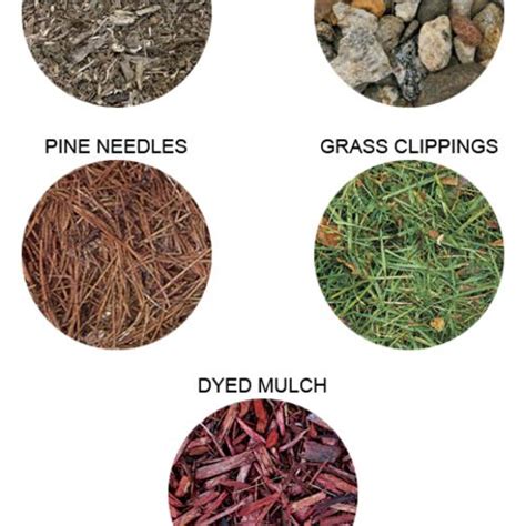 Making the Most of Mulch - FineGardening | Mulch, Types of mulch, Mulching