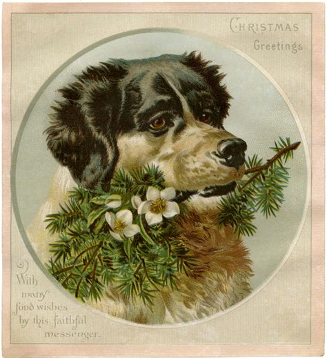 12+ Vintage Christmas Dog Images! - The Graphics Fairy