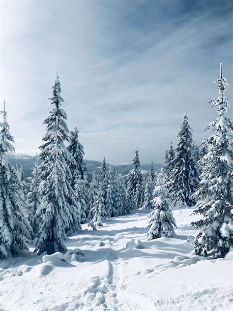 11 MAGICAL THINGS TO DO IN ROMANIA IN WINTER – Commute World