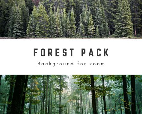 SALE Forest Zoom Background Pack Digital Wallpaper Background, Nature Stock Photos, Forest ...