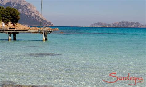 Olbia - spiagge paradisiache, non lontane dalla città | sardegna-villa.it