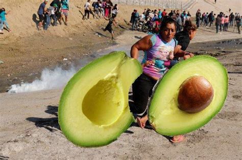 Running with avocado | Mexican Border Shutdown Avocado Shortage | Know Your Meme