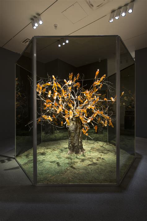 Beautiful Bird Exhibit Spotted At Smithsonian : NPR