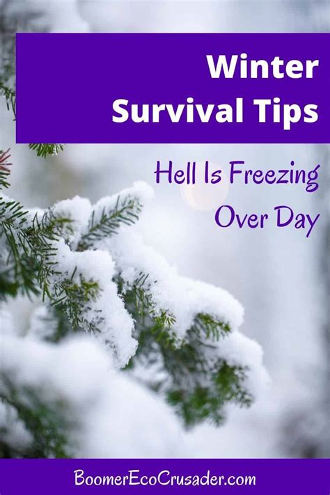 Winter survival tips to help you get through February - Boomer Eco Crusader