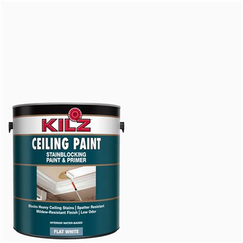 Kilz Ceiling Paint Stain Blocking And Primer | Shelly Lighting