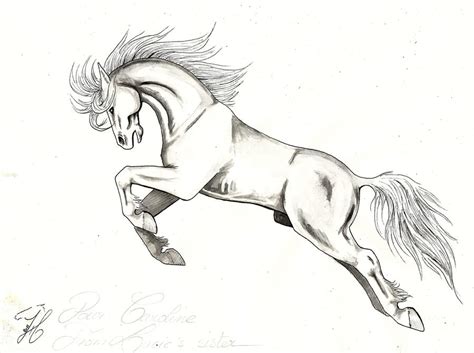 Jumping Horse by haflinger-sama on DeviantArt