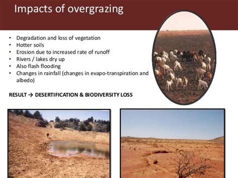 Communal pasture areas: Overgrazing and sustainability