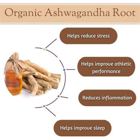 What is Ashwagandha Tea? - History, Benefits, and More | Full Leaf Tea ...