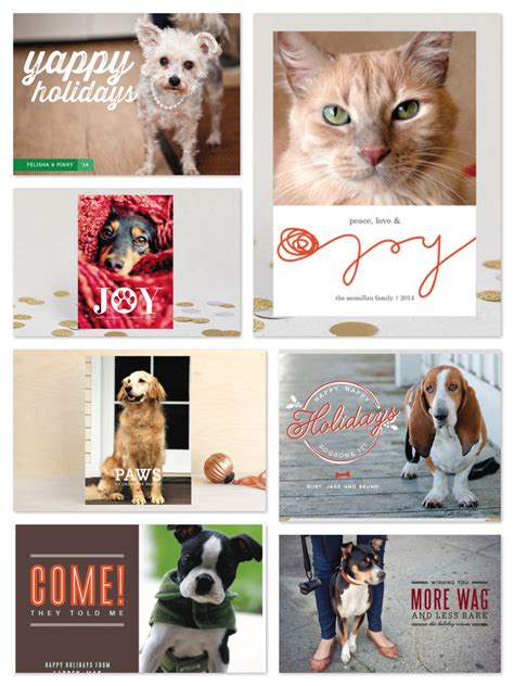 Best Pet Holiday Cards | Dog Lover Christmas Photo Cards | GreatGets.com