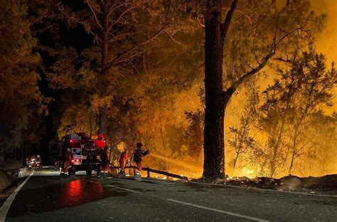 Over 4,500 evacuated as Tenerife wildfire takes on 'unseen dimensions' - World - Chinadaily.com.cn