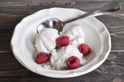 Coconut Milk Ice Cream - Suburble