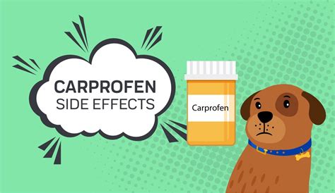 Carprofen Side Effects In Dogs - What You Should Know Innovet Pet