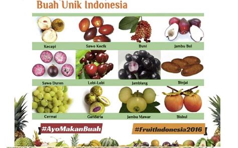 Travelplus Indonesia: Mengenal Buah Unik dan Langka Khas Indonesia di ...