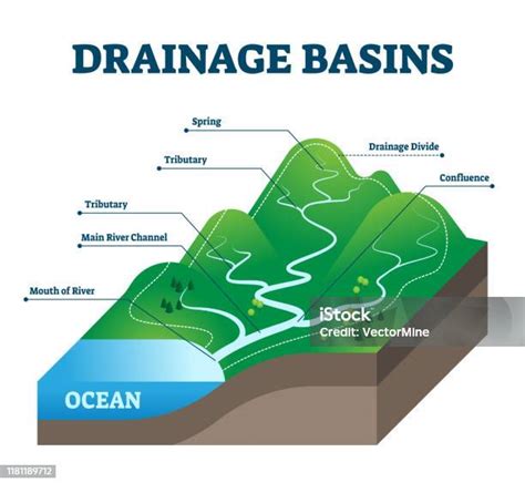 Drainage Basins Vector Illustration Labeled Educational Rain Water Scheme Stock Illustration ...