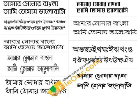 Bijoy Bangla Font Free Download | 1028 Bijoy Bayanno Font