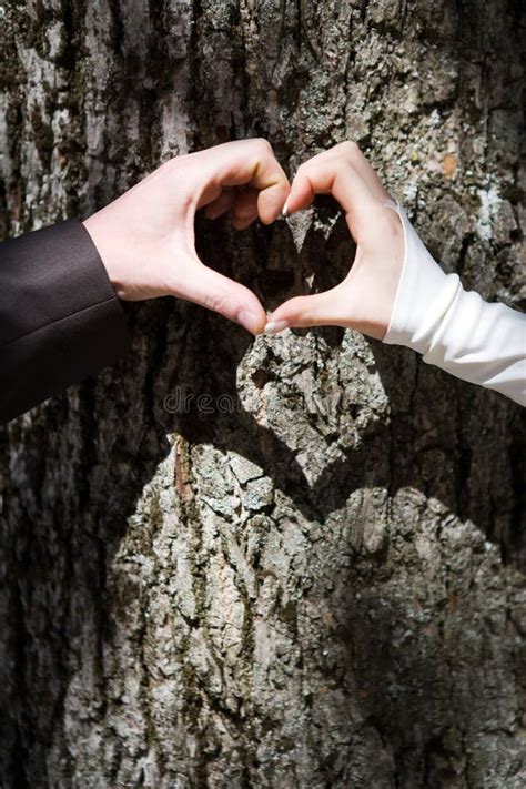 Two Hands Forming Heart in Love Stock Photo - Image of finger ...