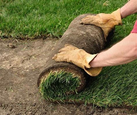 Watering New Sod: Your Complete Guide — Commercial Lawn Irrigation