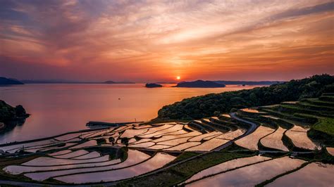 🔥 Download Japan S Rise Fields At Sunset 4k Wallpaper by @lroberts83 ...