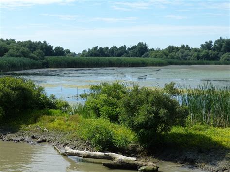 Danube Delta · Free photo on Pixabay