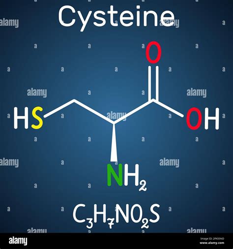 Cysteine Structure