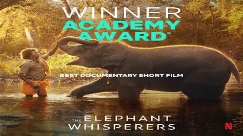 All about India’s ‘The Elephant Whisperers’ that won the Oscars 2023 ...