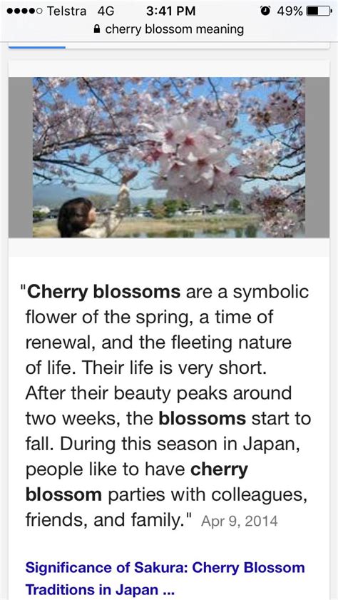 cherry blossom meaning - Google Search | Cherry blossom meaning, Cherry blossom tattoo meaning ...