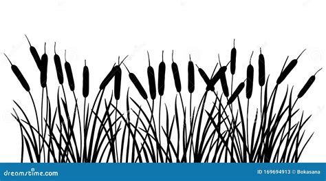 Reed Silhouette Set. Vector Illustration Isolated On White. Plants On ...