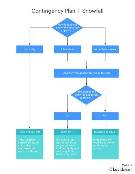 Project Management Contingency Plan Template