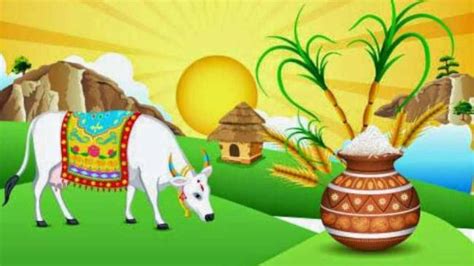 Pongal 2023: What are the 4 types of Pongal & what is their significance?