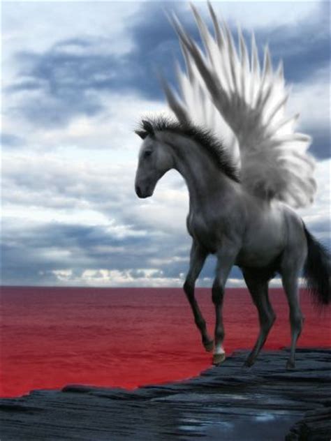 Winged Horse by purplegoosey on DeviantArt