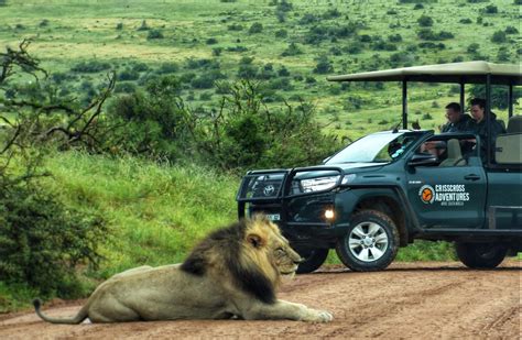 Addo Elephant Park Tour Game Drives | Chrislin African Lodge