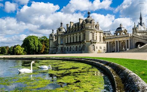 Swans in the lake by the Chateau de Chantilly wallpaper - World wallpapers - #52407