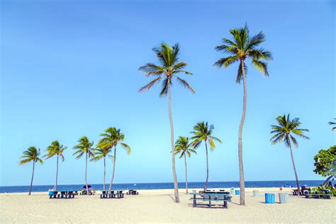 Fort Lauderdale Attractions | Trip Sense | tripcentral.ca