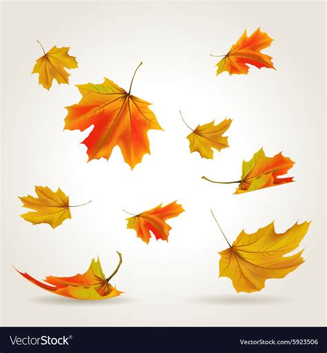 Falling leaves Royalty Free Vector Image - VectorStock