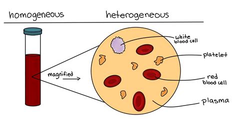 Homogeneous vs. Heterogeneous Mixtures — A Comparison - Expii